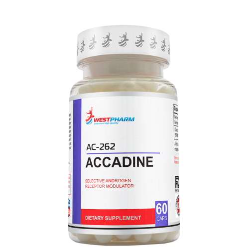 Accadine (AC-262536) (60капс/10мг) (WestPharm),